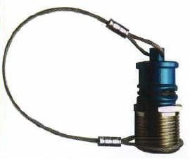 10-Coolant-Receiver-and-Receiver-Cap-W-or-Lanyard
